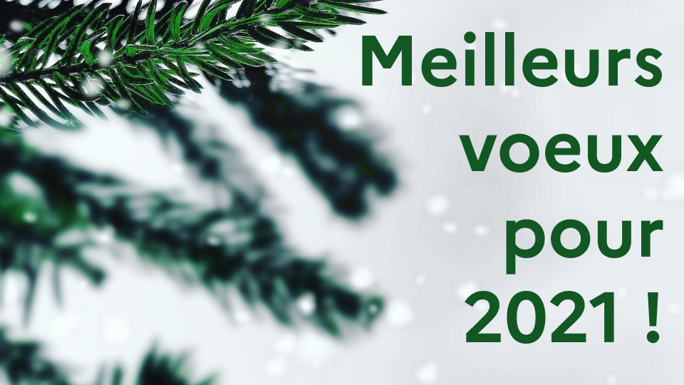 Voeux