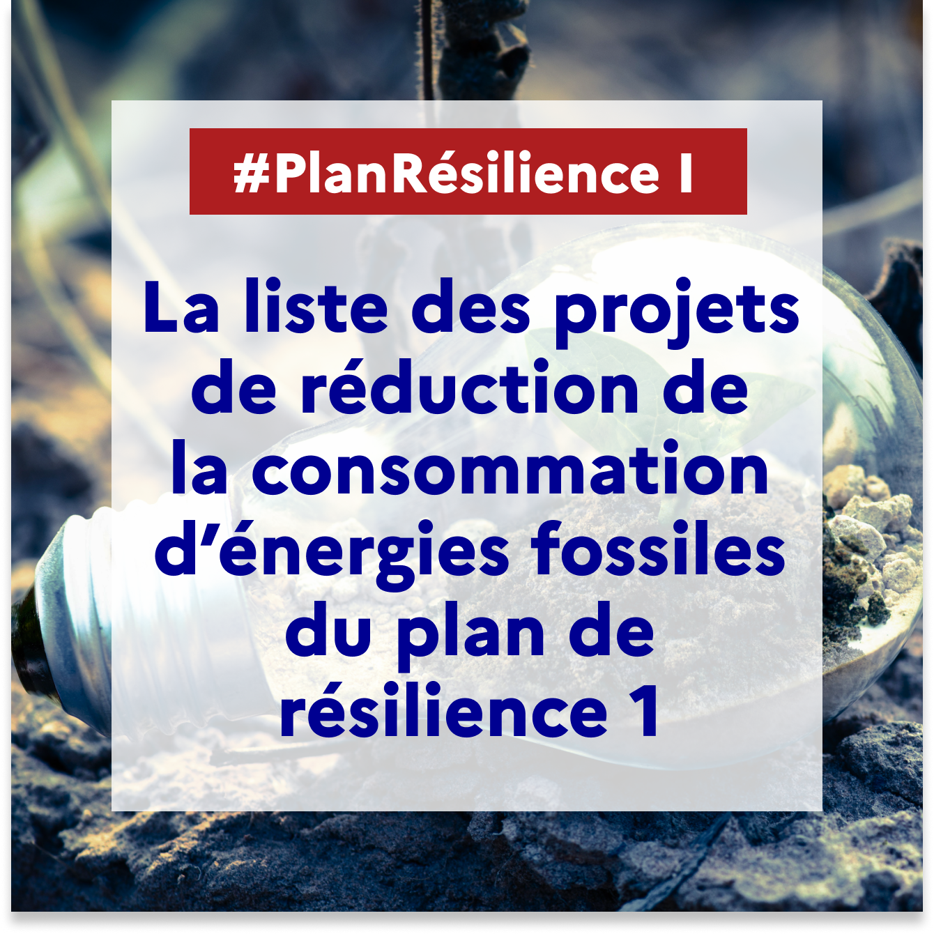 Résilience 1 grand dossier DIE