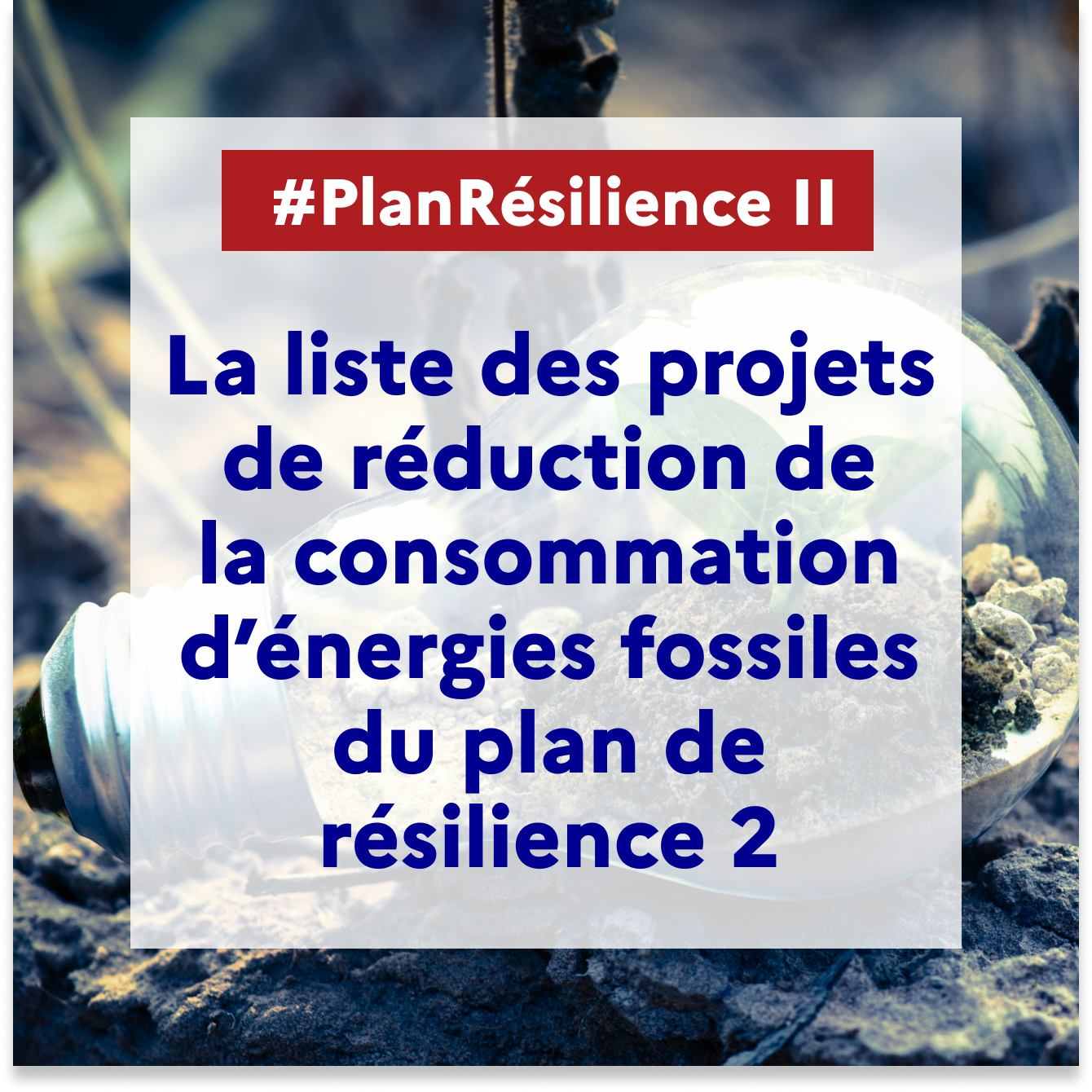Résilience 2 grand dossier DIE