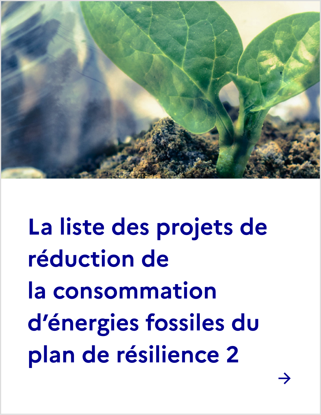 Résilience 2