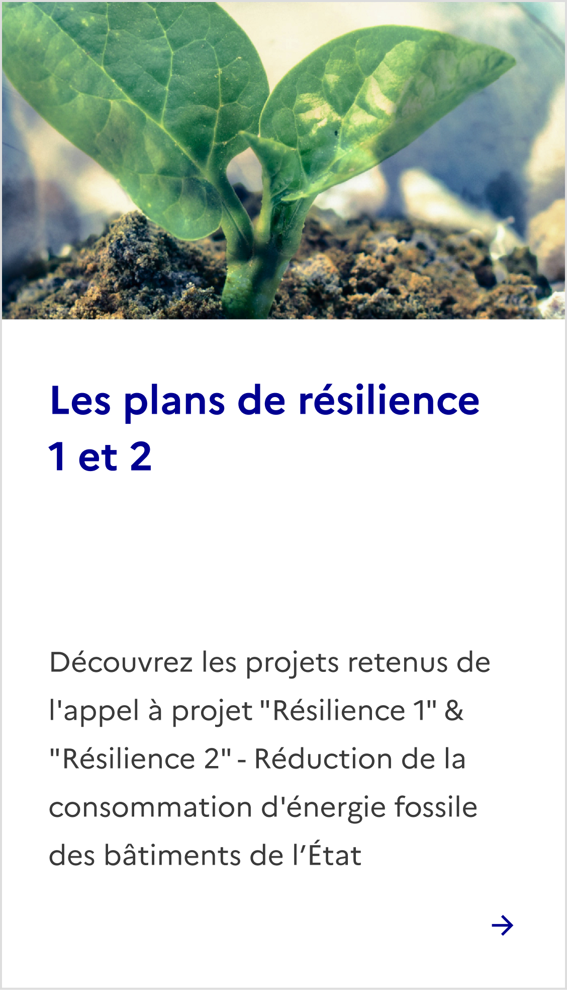 Résilience