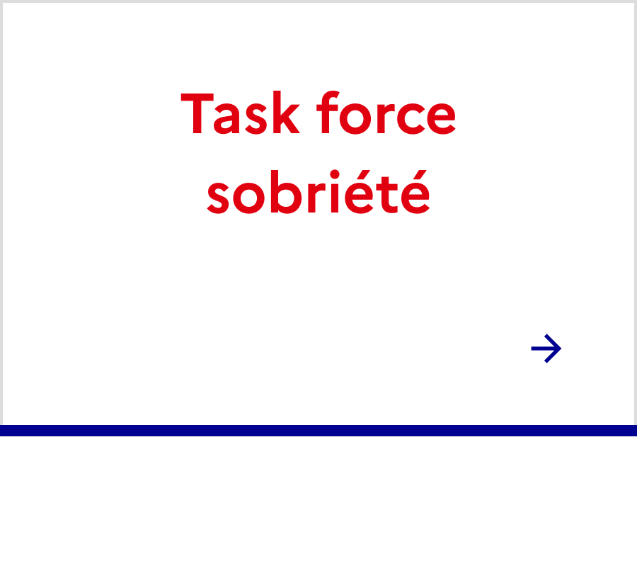 Task force