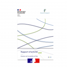 rapport activité 2020 DIE
